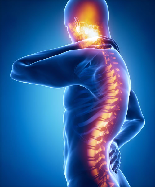 The_Levels_Of_Spinal_Cord_Injury
